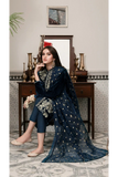 Miraal 305 - Embroidered Velvet 3-Piece Dress with Embroidered Organza