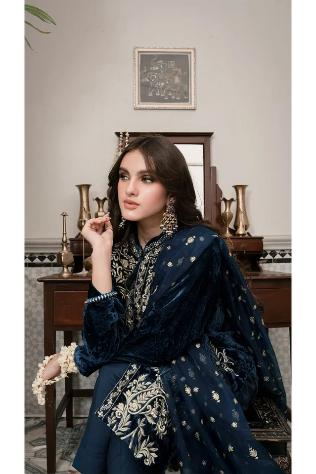 Miraal 305 - Embroidered Velvet 3-Piece Dress with Embroidered Organza